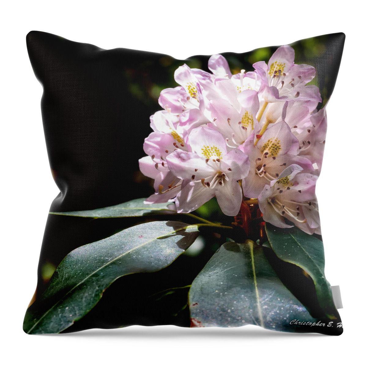 Christopher Holmes Photography Throw Pillow featuring the photograph 20120621-dsc05834 by Christopher Holmes