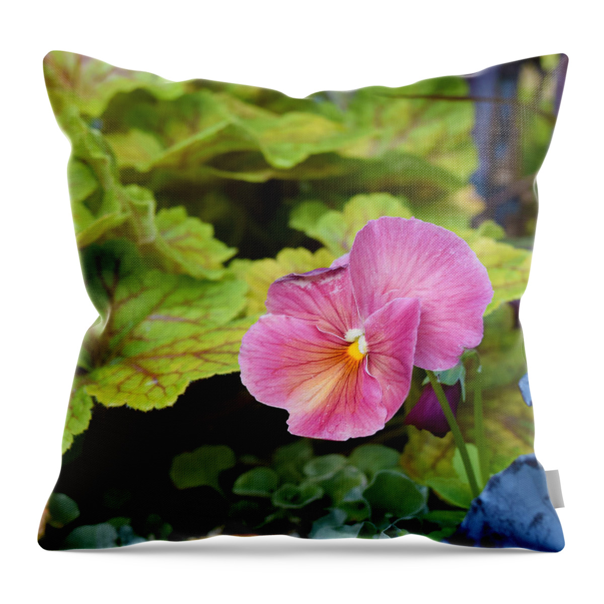 Pansies Throw Pillow featuring the photograph 2015 After the Frost at the Garden Pansies 3 by Janis Senungetuk