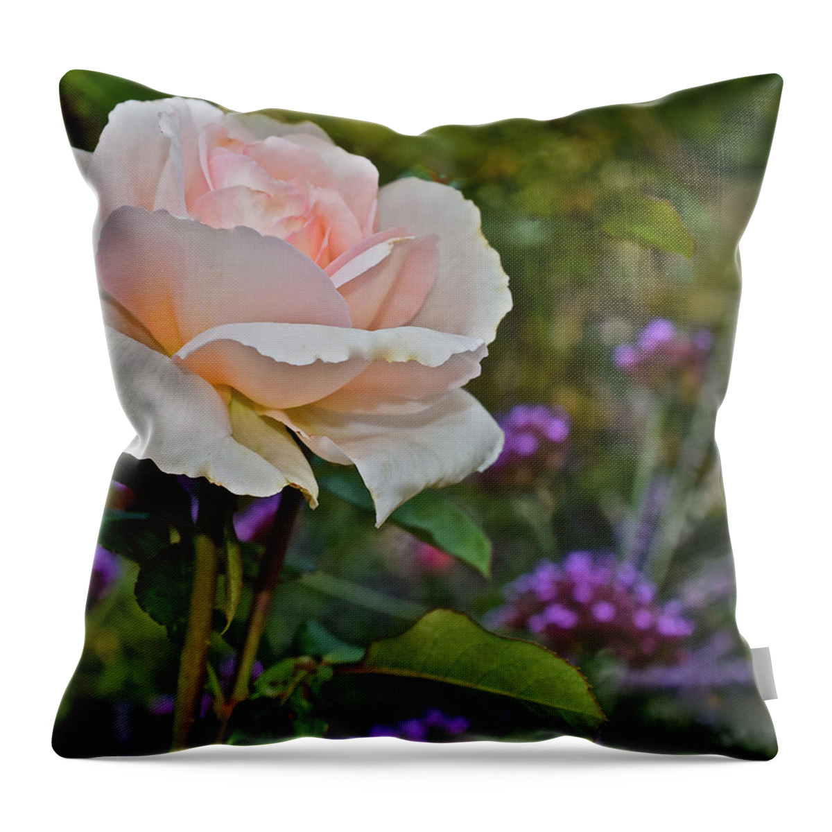 Rose Throw Pillow featuring the photograph 2015 Fall Equinox Ivory Rose by Janis Senungetuk