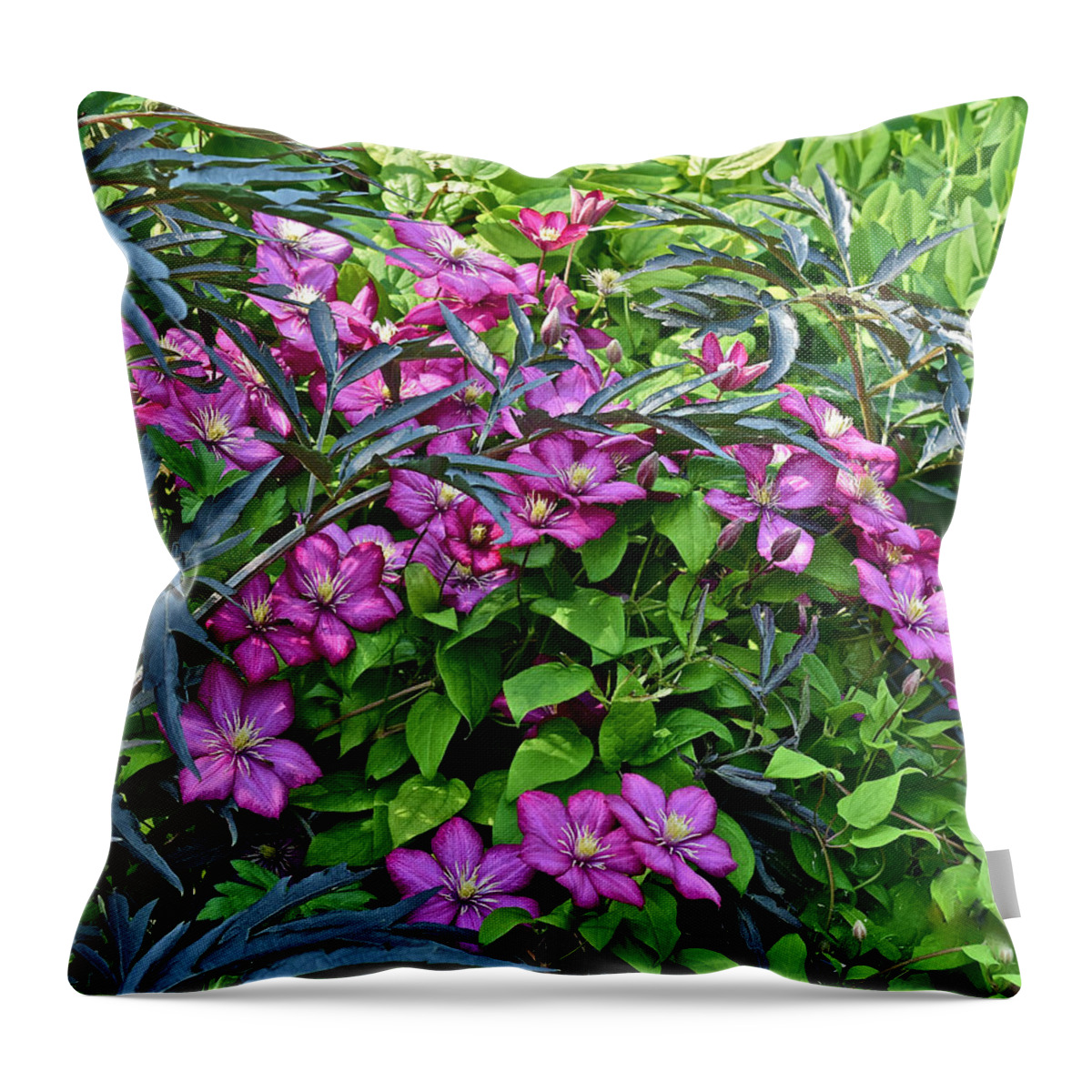 Clematis Throw Pillow featuring the photograph 2015 Summer at the Garden Beautiful Clematis by Janis Senungetuk