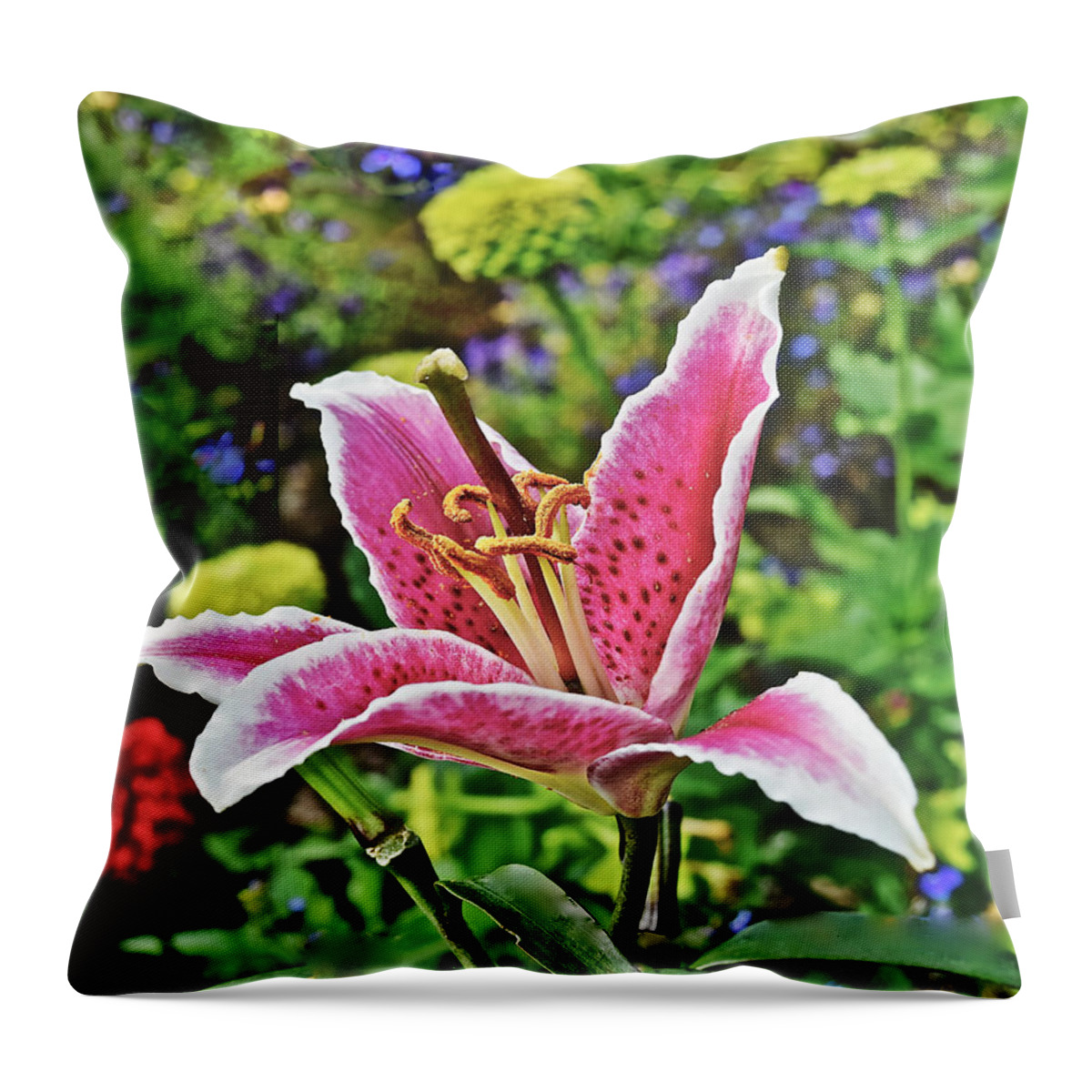 Lily Throw Pillow featuring the photograph 2015 Summer at the Garden Late August Event Garden Last Lily by Janis Senungetuk