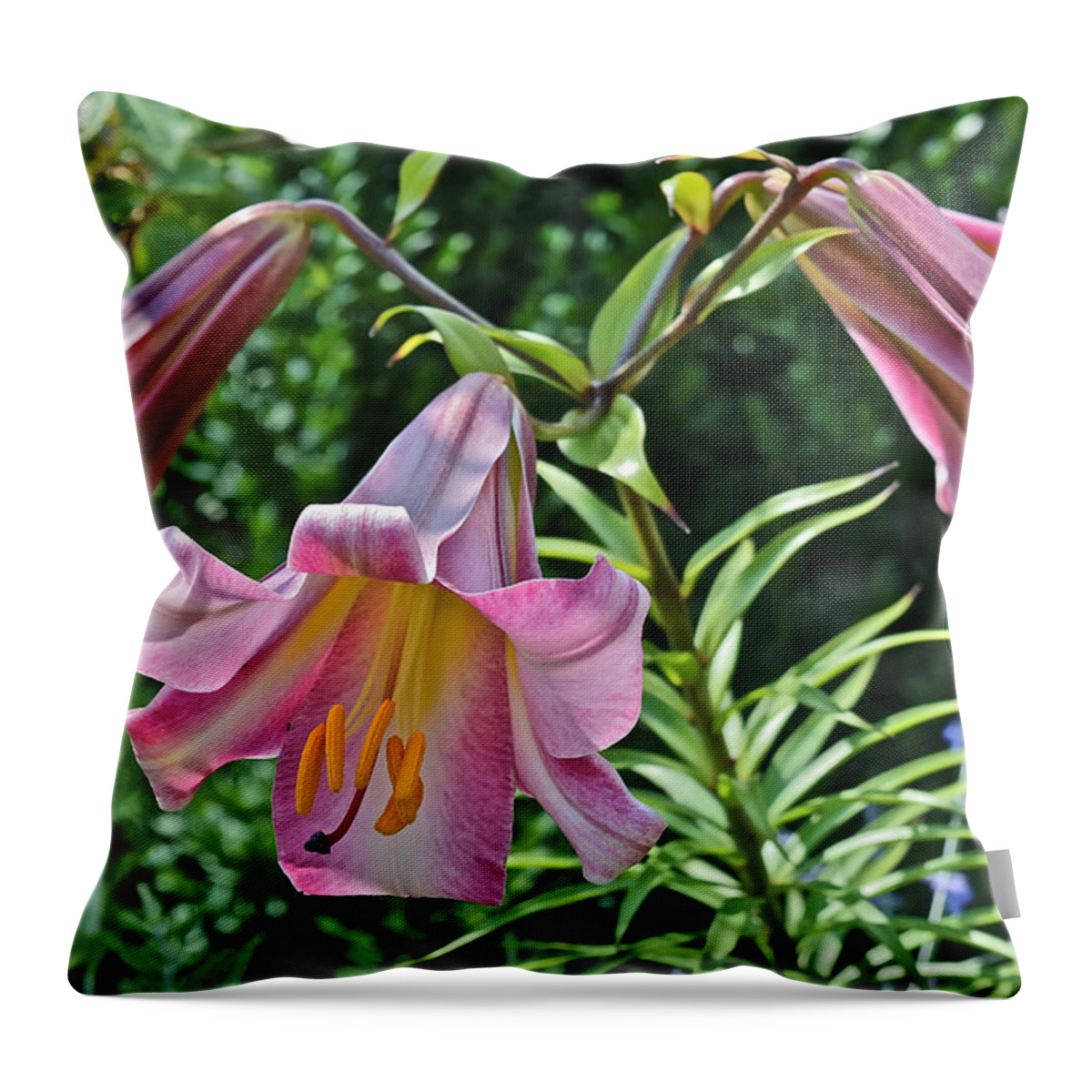 Lilies Throw Pillow featuring the photograph 2015 Summer at the Garden Lilies in the Rose Garden 2 by Janis Senungetuk