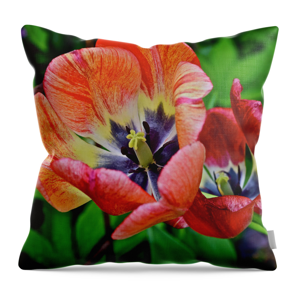 Tulips Throw Pillow featuring the photograph 2016 Mid May Exotic Tulips 2 by Janis Senungetuk
