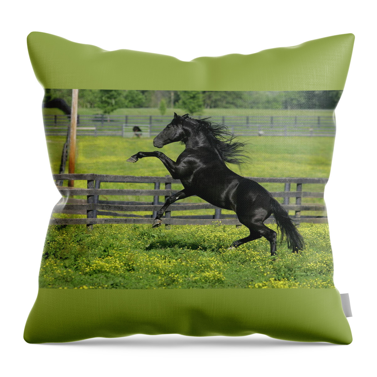 Horse Throw Pillow featuring the digital art Horse #23 by Super Lovely