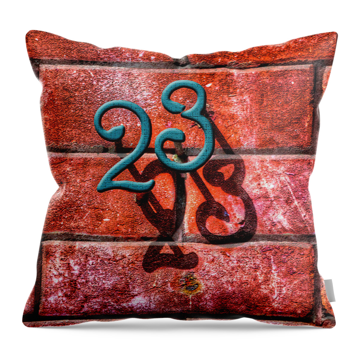 Photography Throw Pillow featuring the photograph 23 by Paul Wear