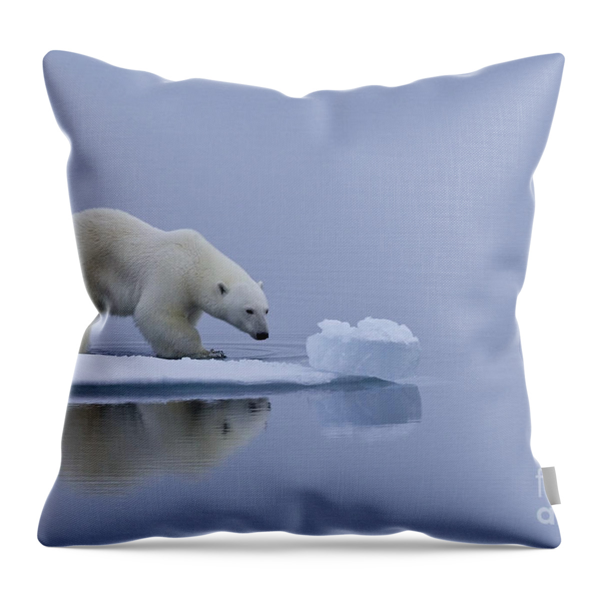 Polar Bear Throw Pillow featuring the photograph Polar Bear In Svalbard #23 by Jean-Louis Klein & Marie-Luce Hubert