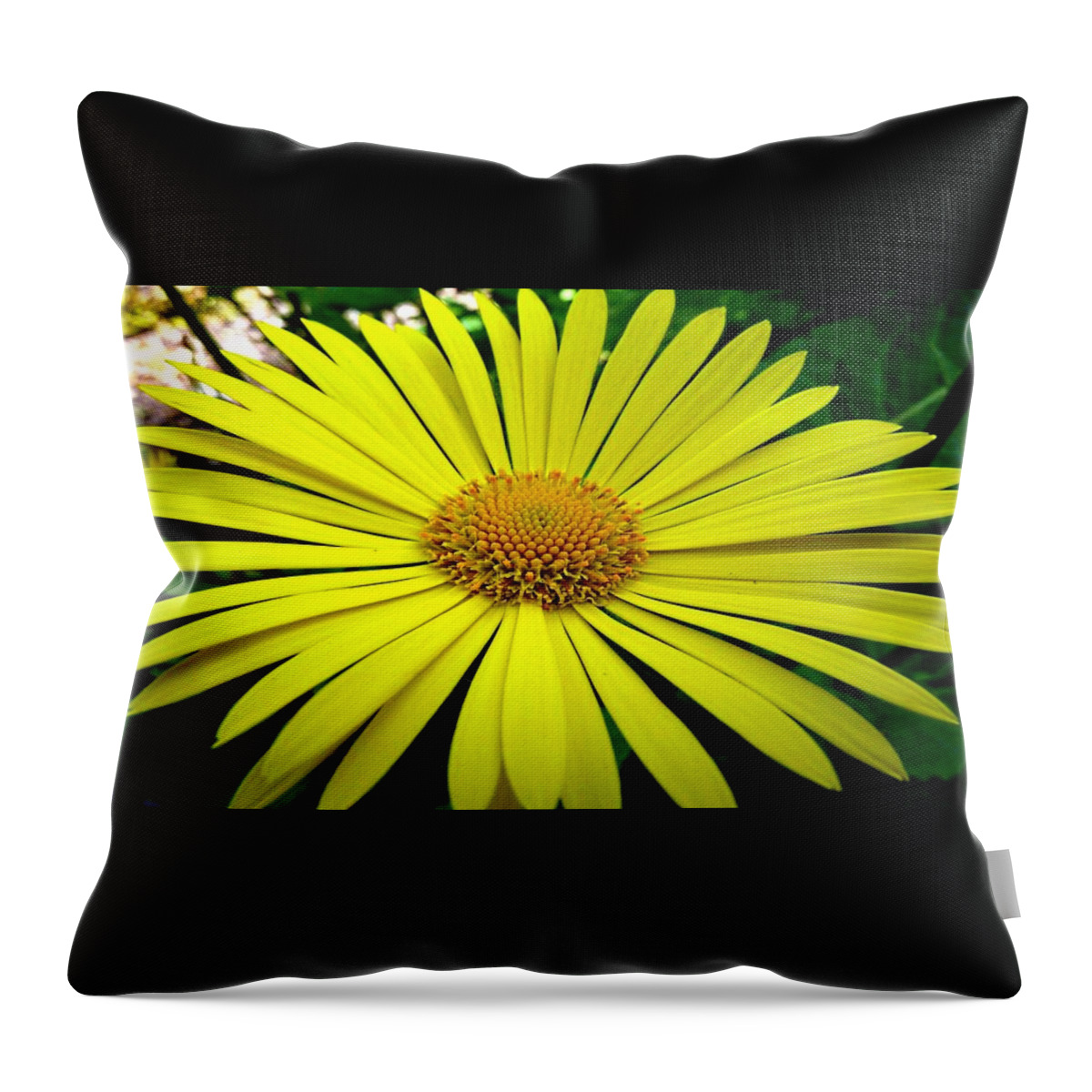Flower Throw Pillow featuring the digital art Flower #24 by Maye Loeser