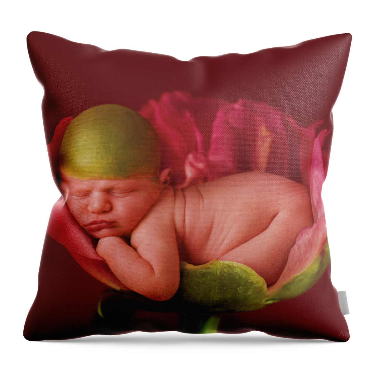 Pink Throw Pillow featuring the photograph Jacob in a Pink Peony Rose by Anne Geddes