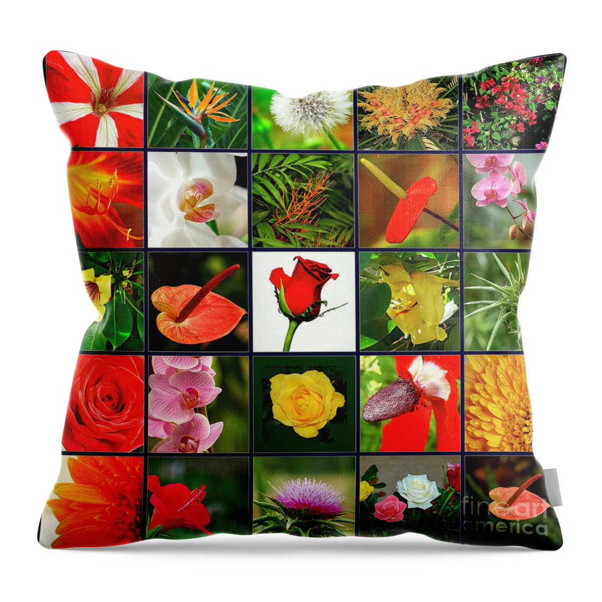 Collage Throw Pillow featuring the photograph 25 Image Collage Of Flowers by Tomi Junger