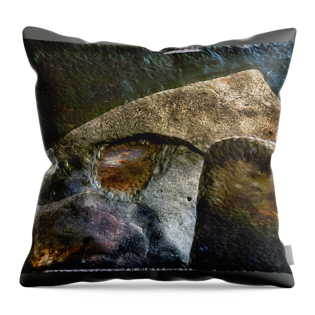 Water Throw Pillow featuring the photograph Untitled00sh by Paul Vitko