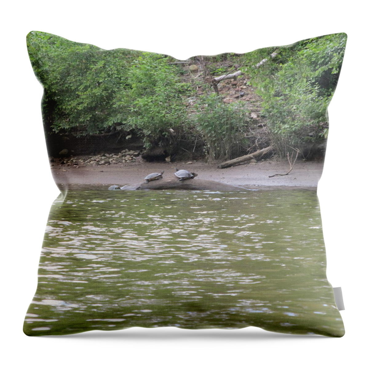  Throw Pillow featuring the photograph Virginia Scenes #25 by Digital Art Cafe