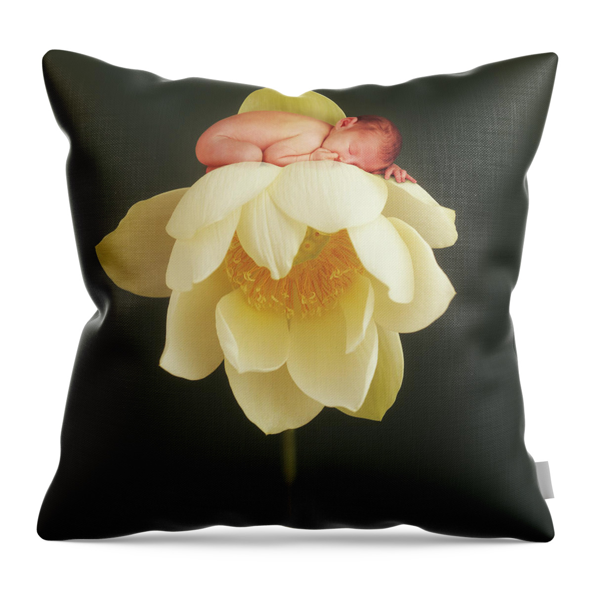 Water Lily Throw Pillow featuring the photograph Lotus Bud by Anne Geddes