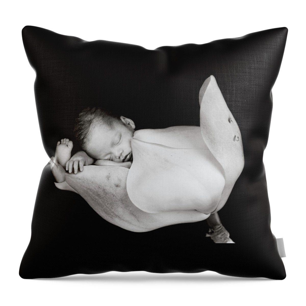 Black And White Throw Pillow featuring the photograph Aden in a Magnolia Bud by Anne Geddes