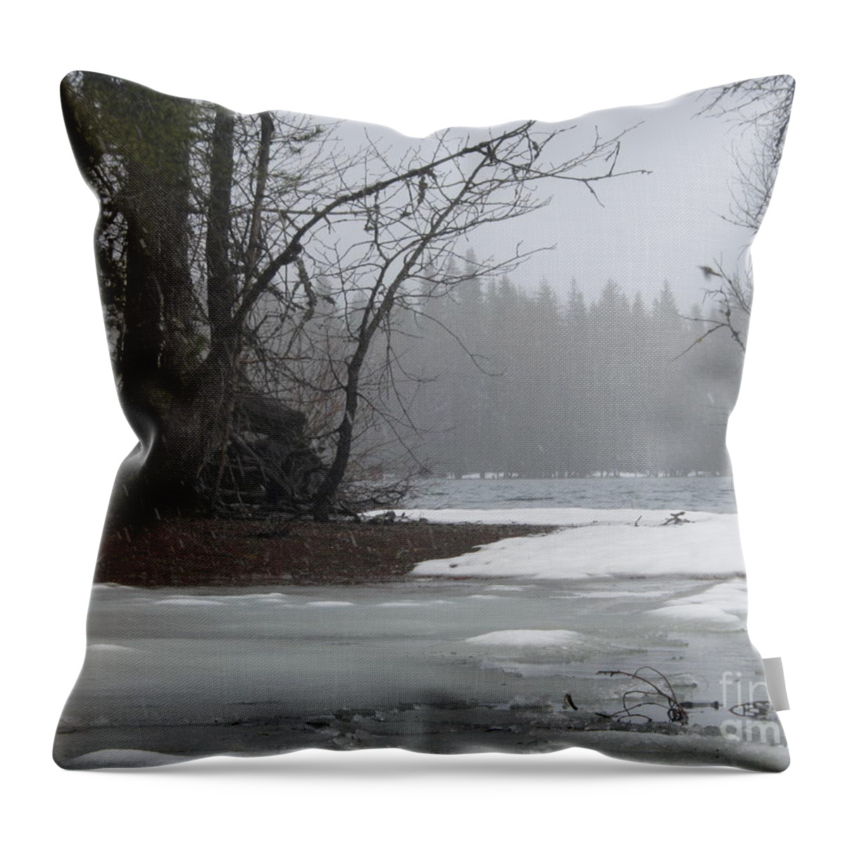 Landscape Throw Pillow featuring the photograph Untitled #24 by John Huntsman