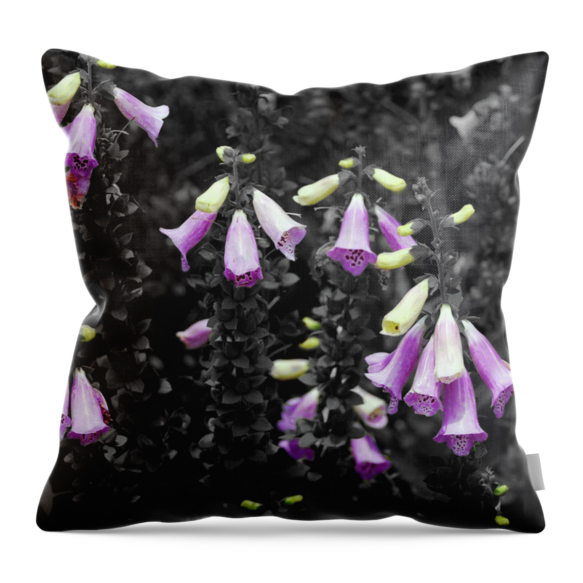 Splash Of Color Throw Pillow featuring the photograph 2907-soc by Splash of Color