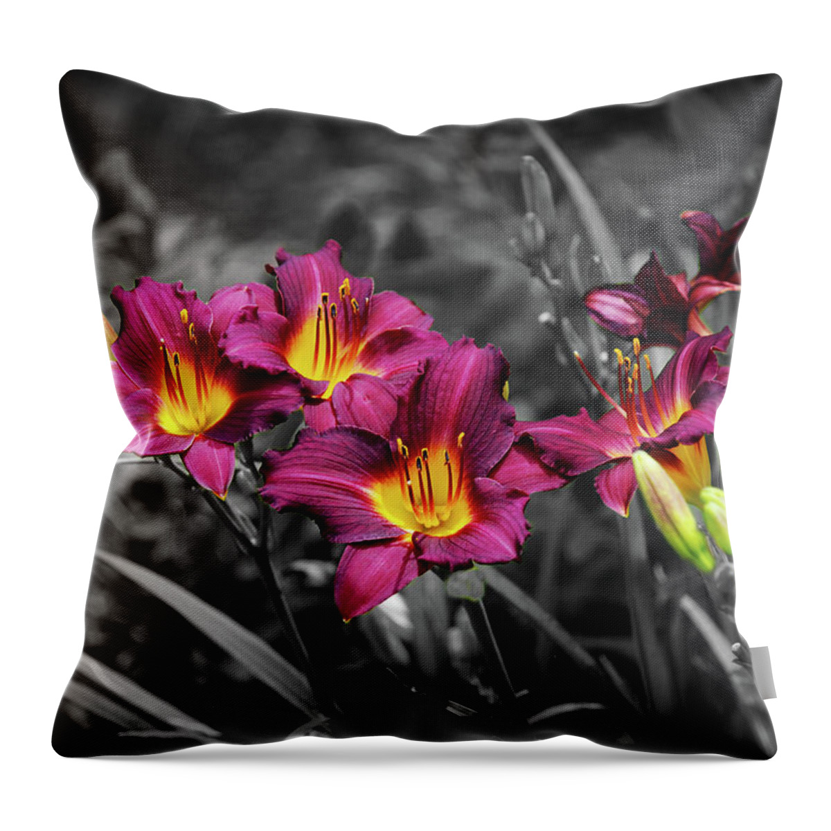 Splash Of Color Throw Pillow featuring the photograph 2945-soc by Splash of Color