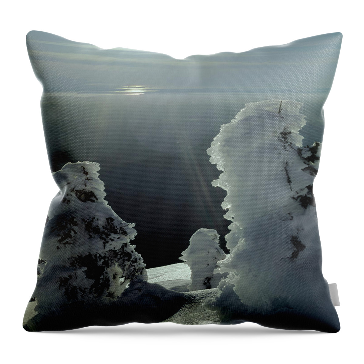 Sunburst Throw Pillow featuring the photograph 2M4415 A Ice Covered Trees over Puget Sound by Ed Cooper Photography