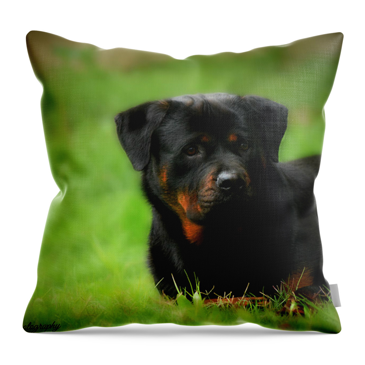 Animal Throw Pillow featuring the digital art Animal #3 by Maye Loeser