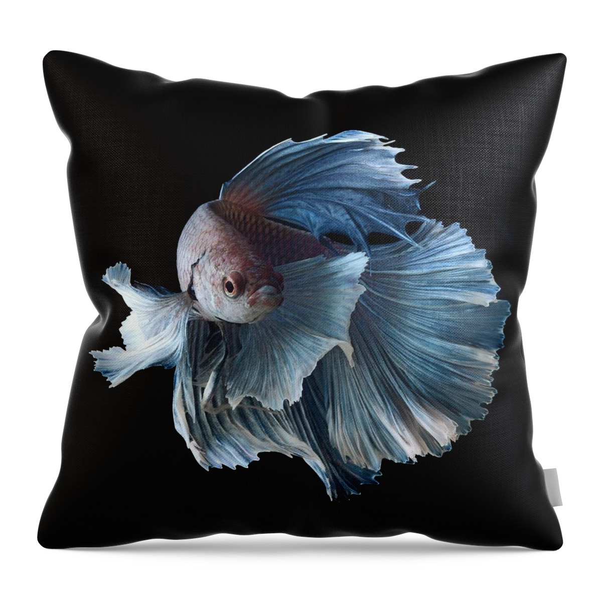 Betta Throw Pillow featuring the photograph Betta #3 by Jackie Russo