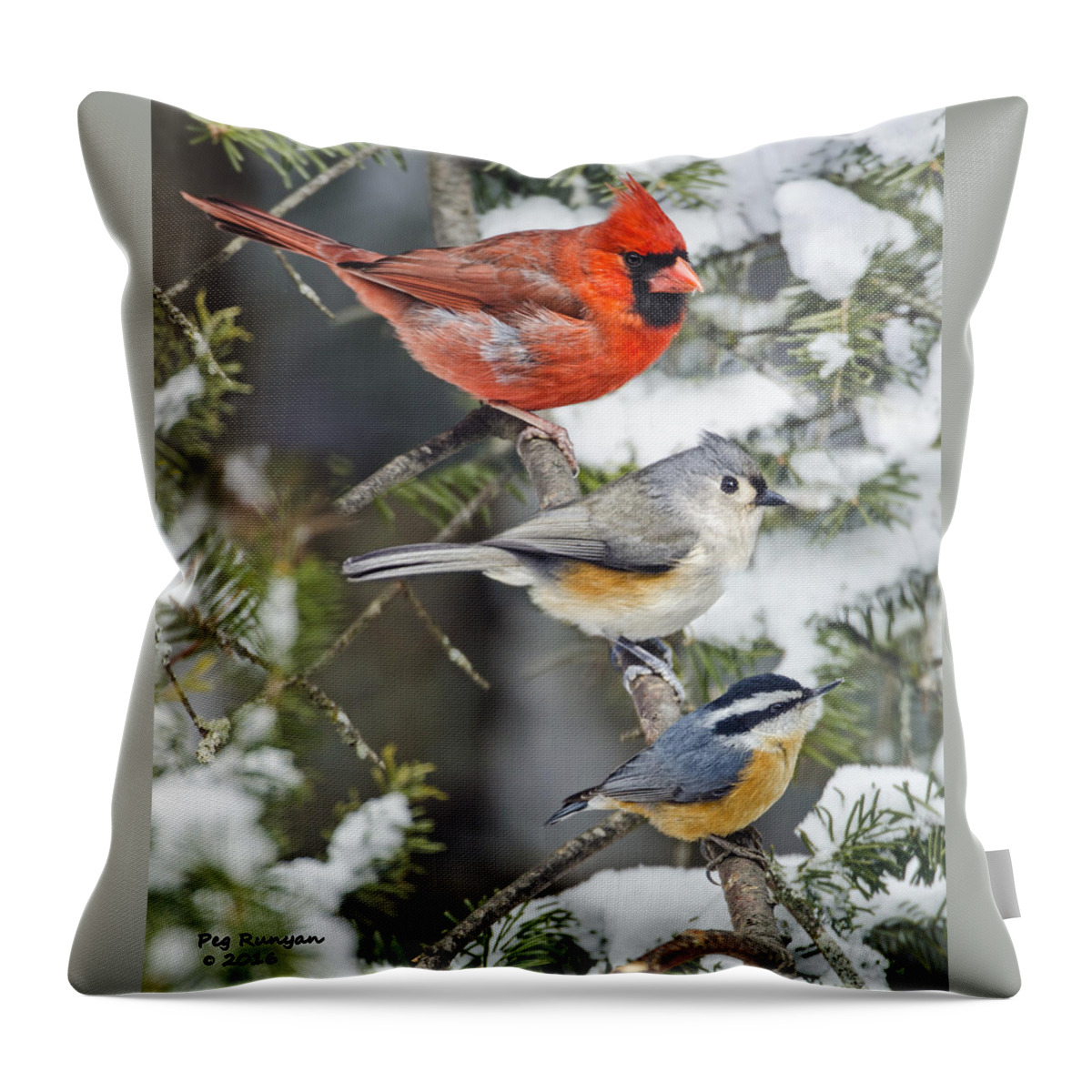 Birds On Snowy Limb Throw Pillow featuring the photograph Birds of a Feather #3 by Peg Runyan