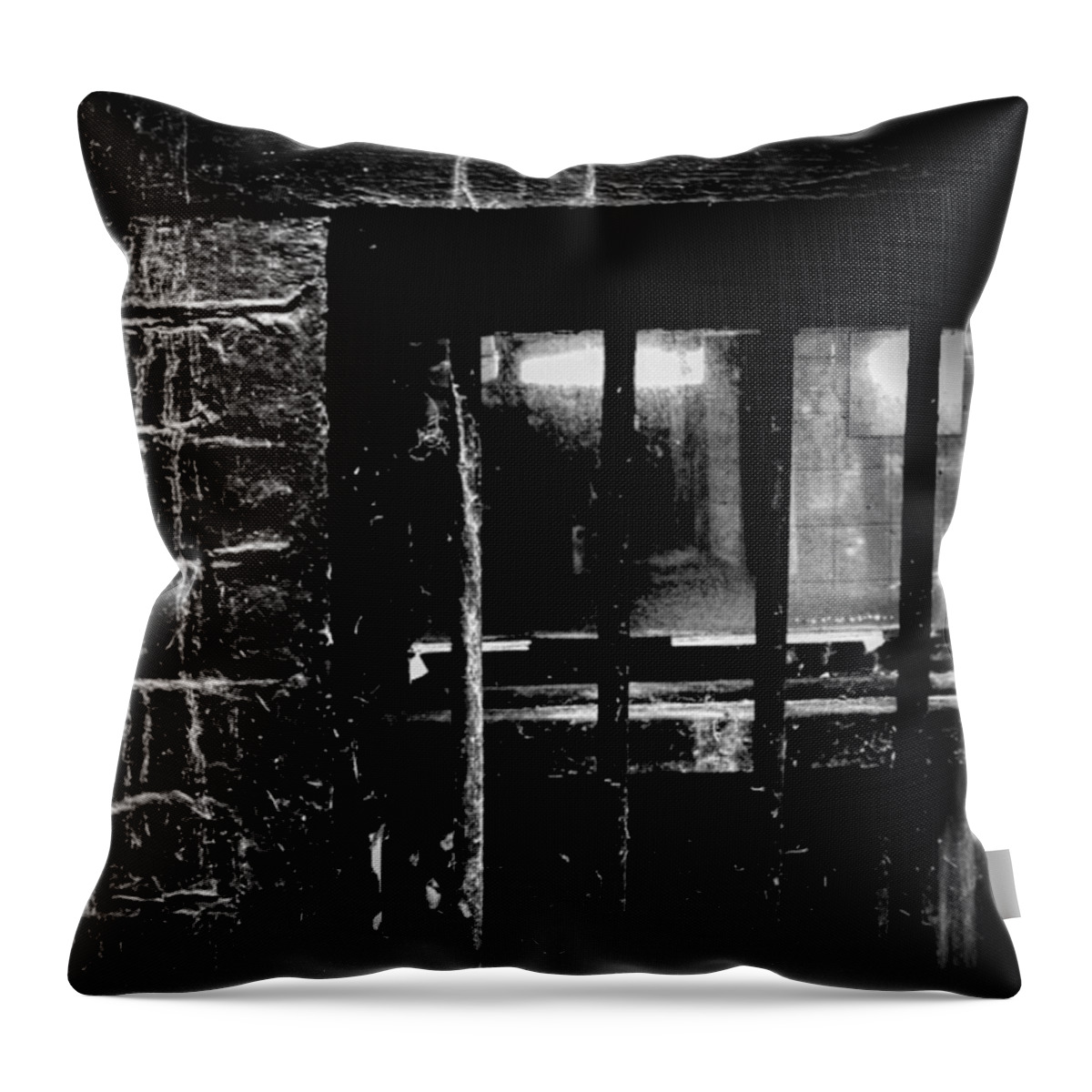 Monochromatic Throw Pillow featuring the photograph #blackandwhite #bnw #monochrome #3 by Jason Roust