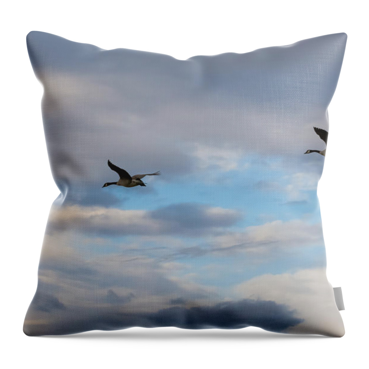 Canada Geese Throw Pillow featuring the photograph Canada Geese #3 by Holden The Moment