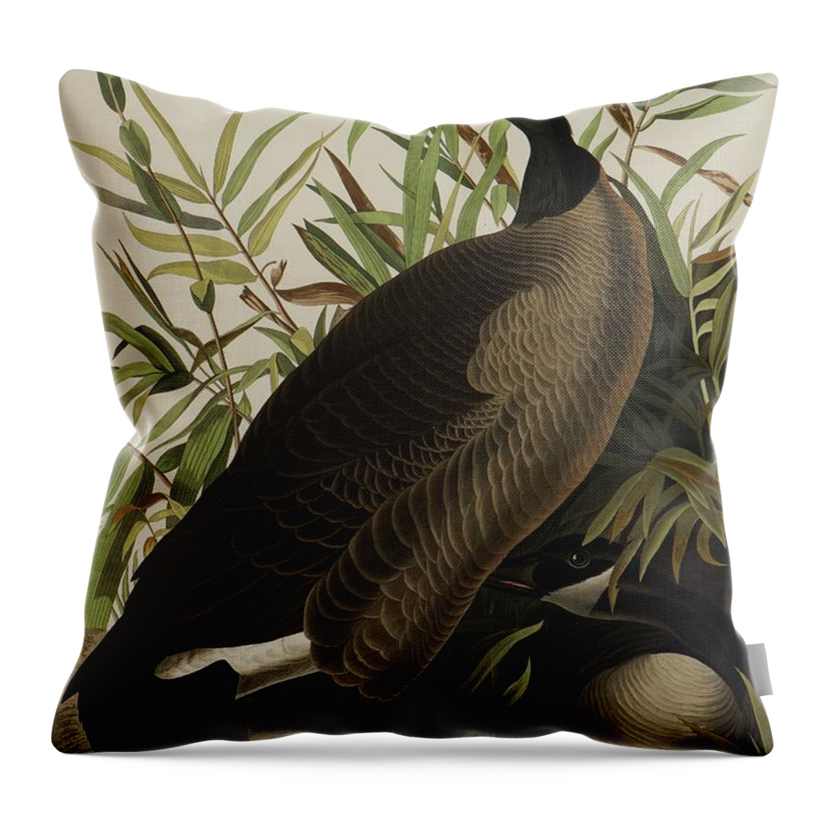 Audubon Throw Pillow featuring the painting Canada Goose by John James Audubon