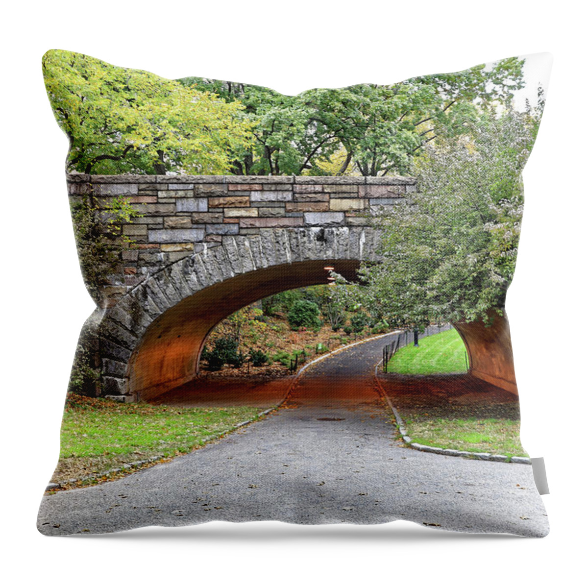Central Park Throw Pillow featuring the photograph Central Park Bridge #4 by Doolittle Photography and Art