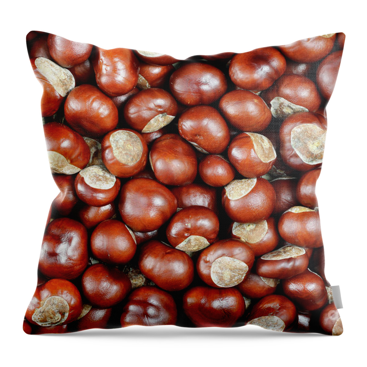 Conker Throw Pillow featuring the photograph Conkers by Michal Boubin