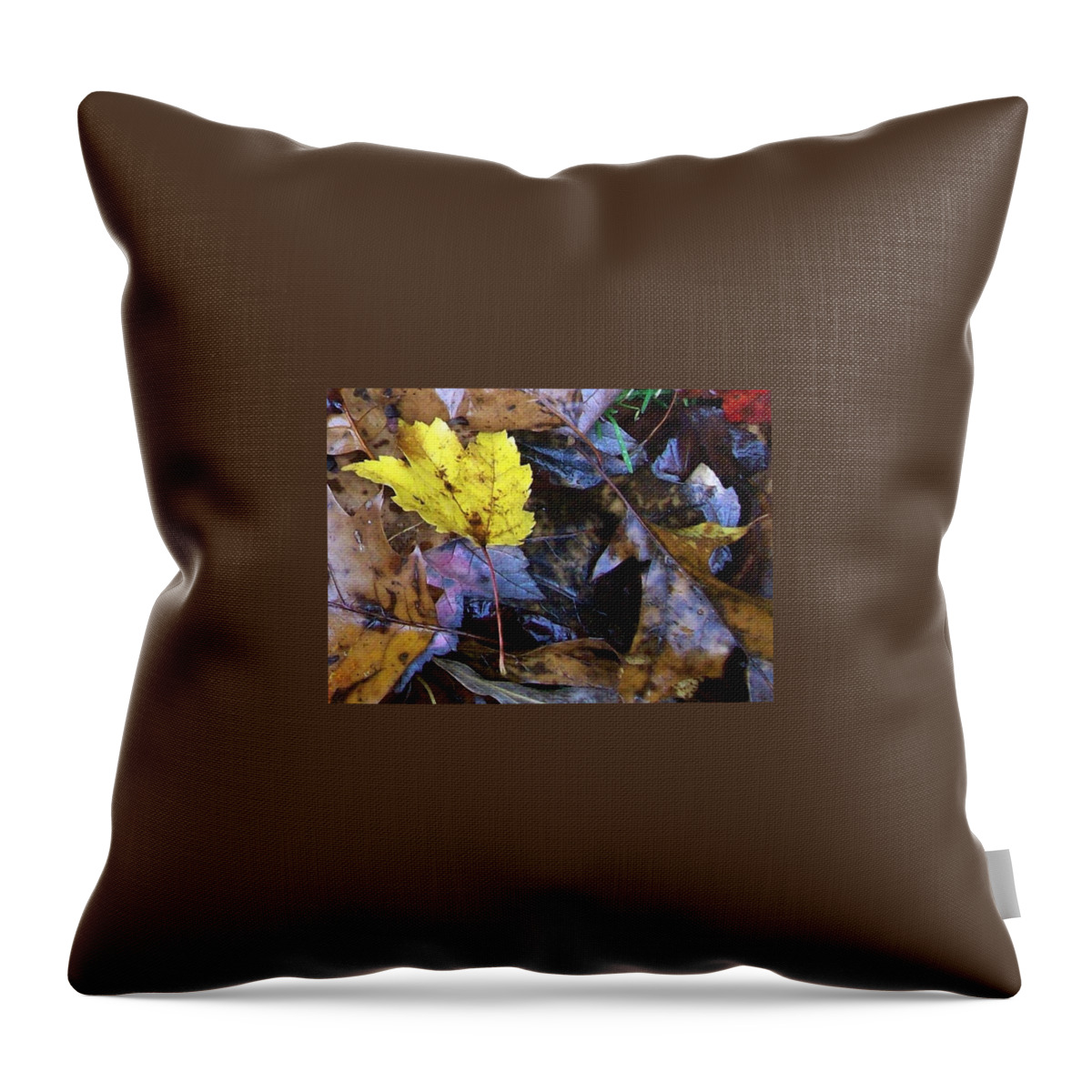 Fall Color Leaf Throw Pillow featuring the photograph Colors Of The Fall #3 by Wolfgang Schweizer