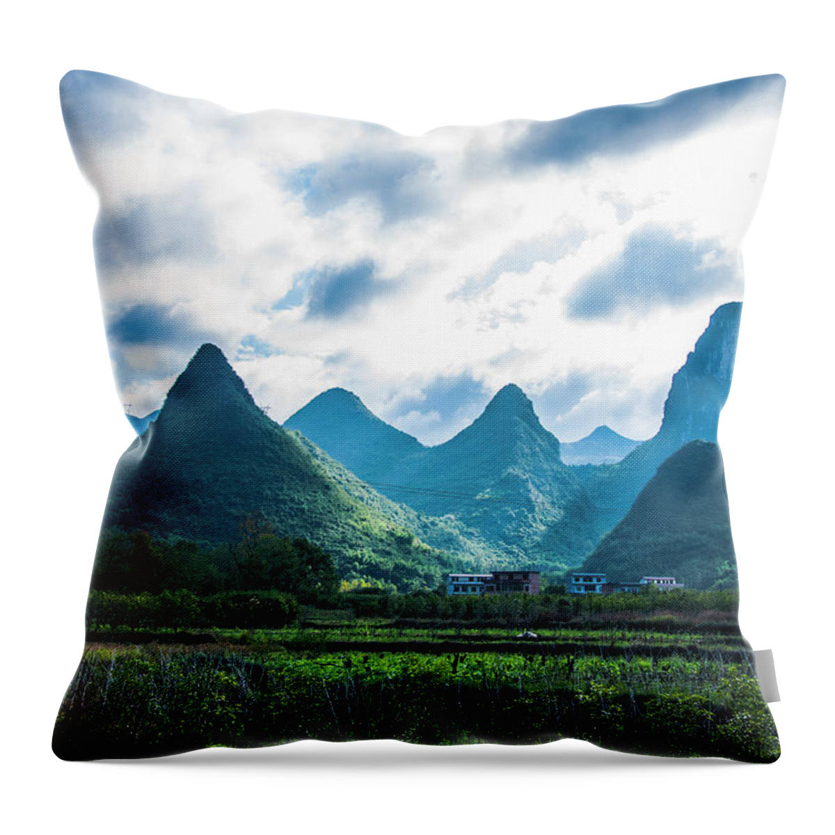 Countryside Throw Pillow featuring the photograph Countryside scenery in autumn #3 by Carl Ning