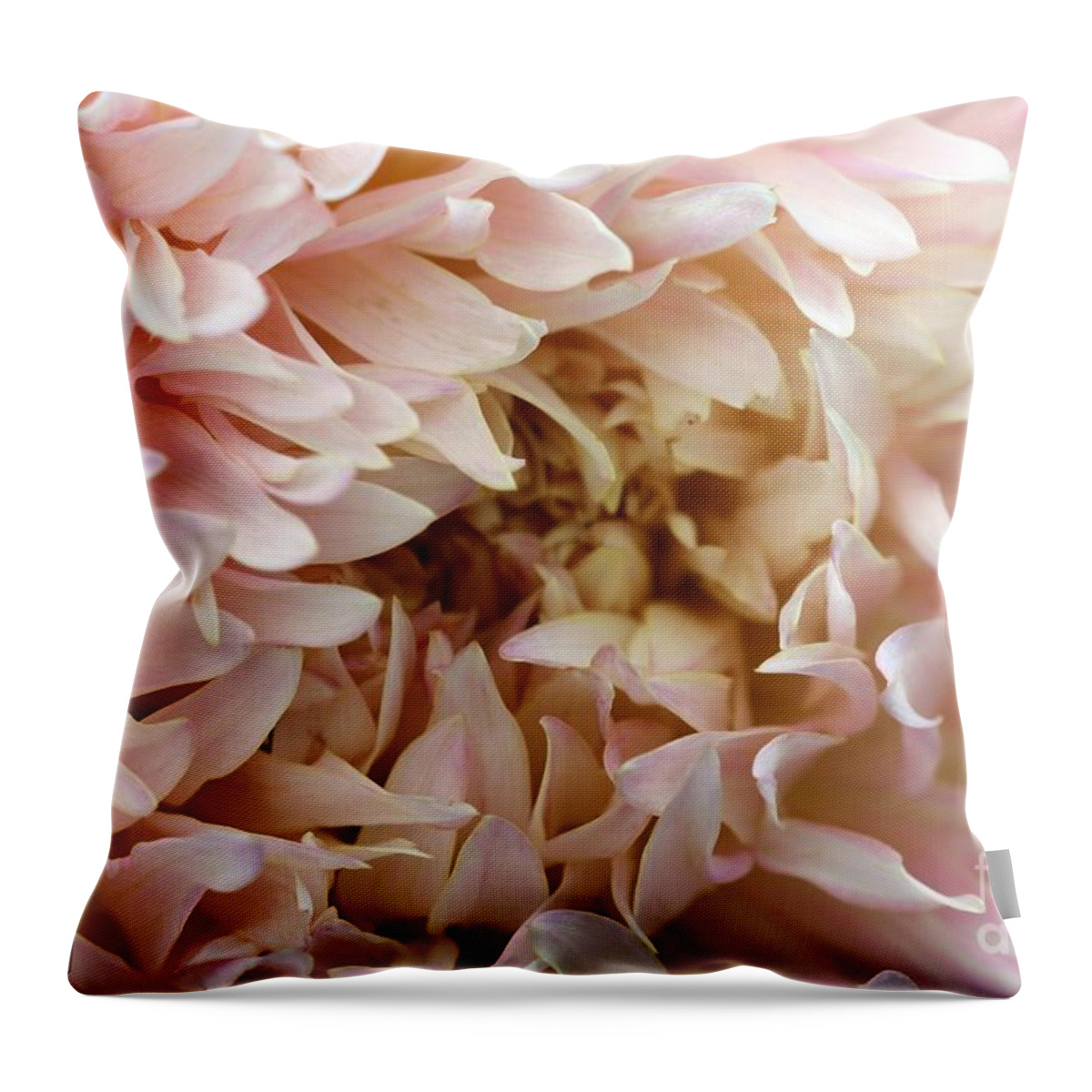 Mccombie Throw Pillow featuring the photograph Dahlia named Nadia Ruth #4 by J McCombie