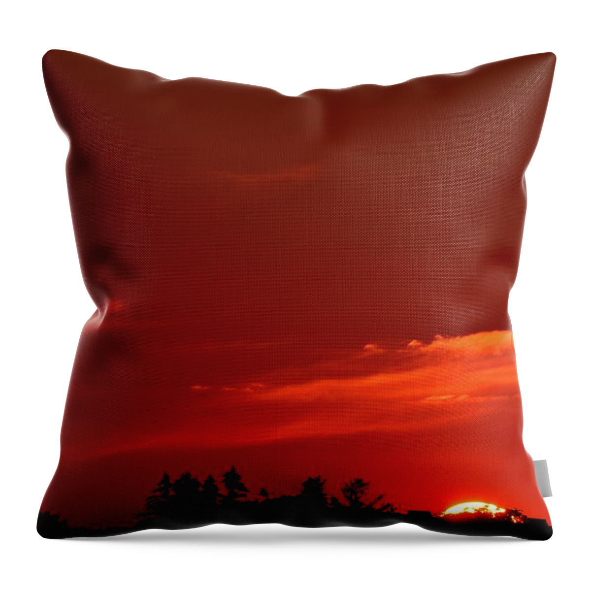 Abstract Throw Pillow featuring the photograph End Of The Day #3 by Lyle Crump