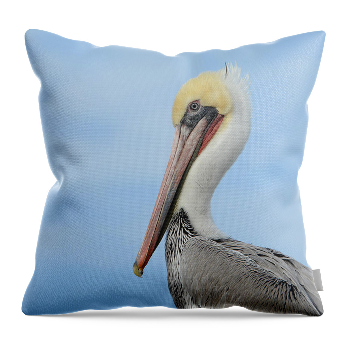 California Brown Pelican Throw Pillow featuring the photograph Eye Contact #3 by Fraida Gutovich