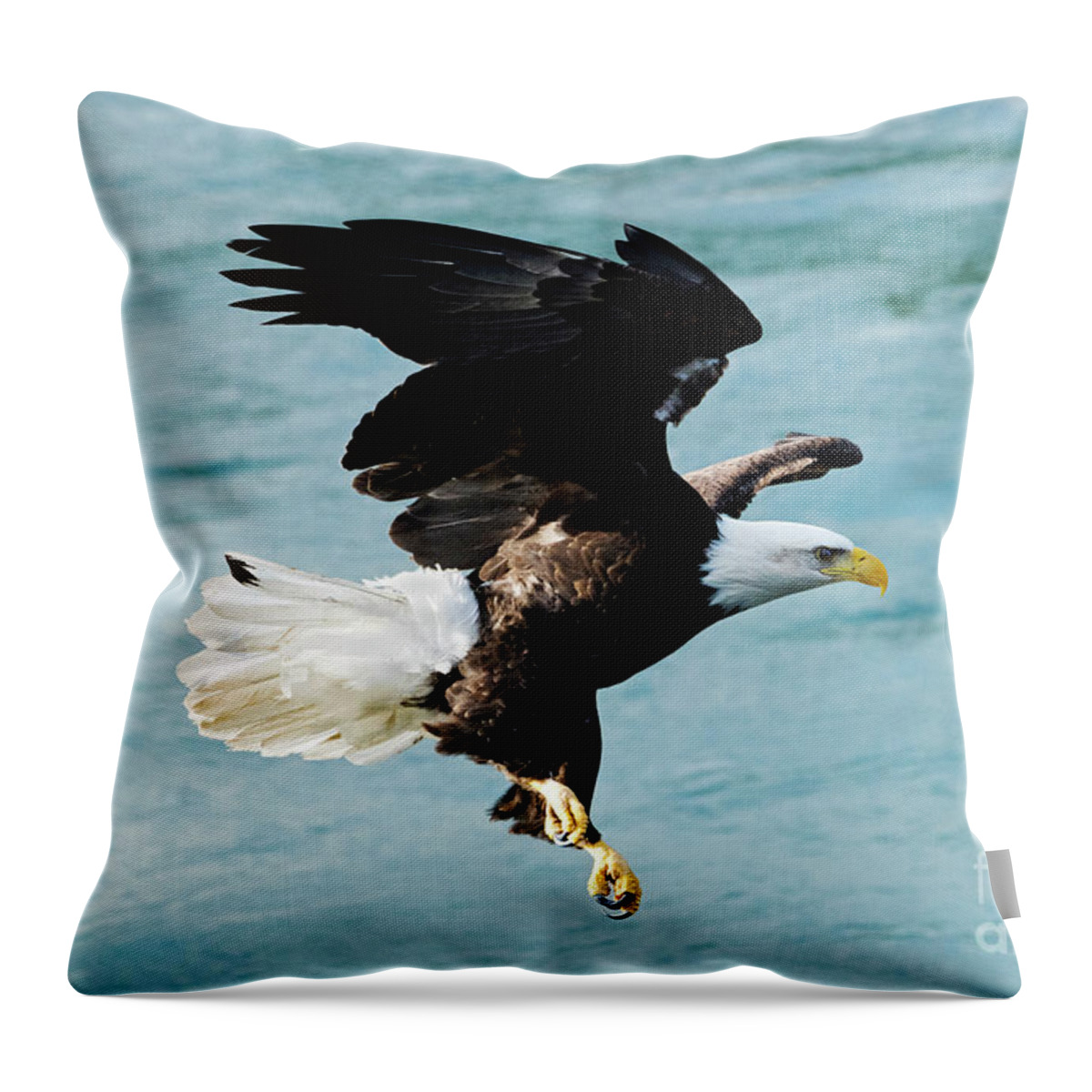 Focus Throw Pillow featuring the photograph Focused #3 by Michael Dawson
