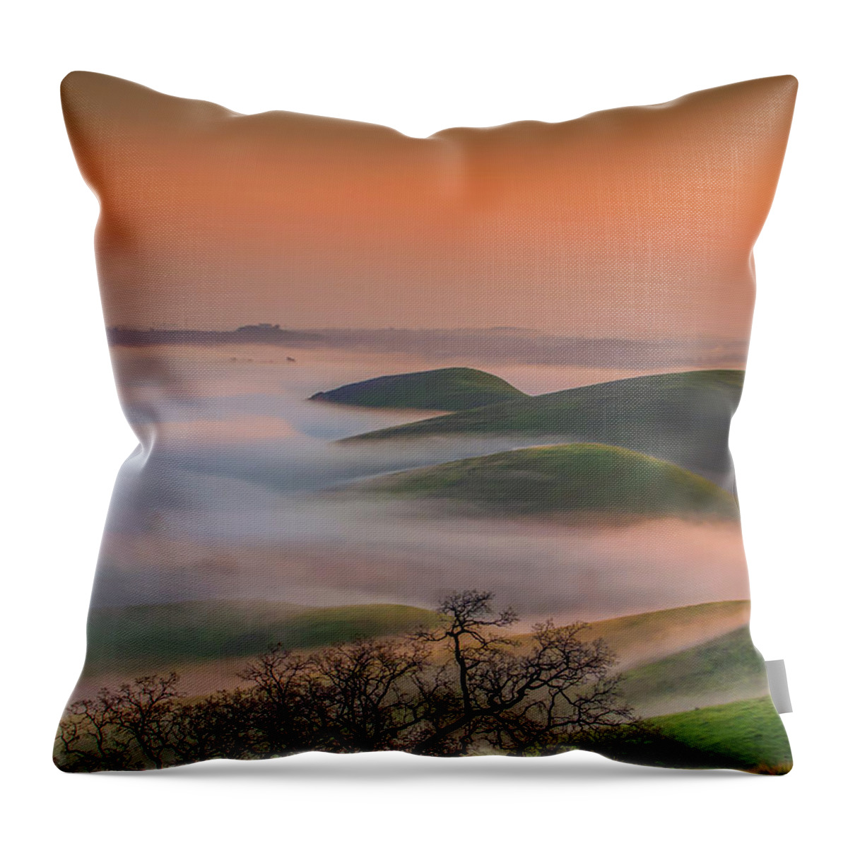 Landscape Throw Pillow featuring the photograph Fog at Sunrise #3 by Marc Crumpler