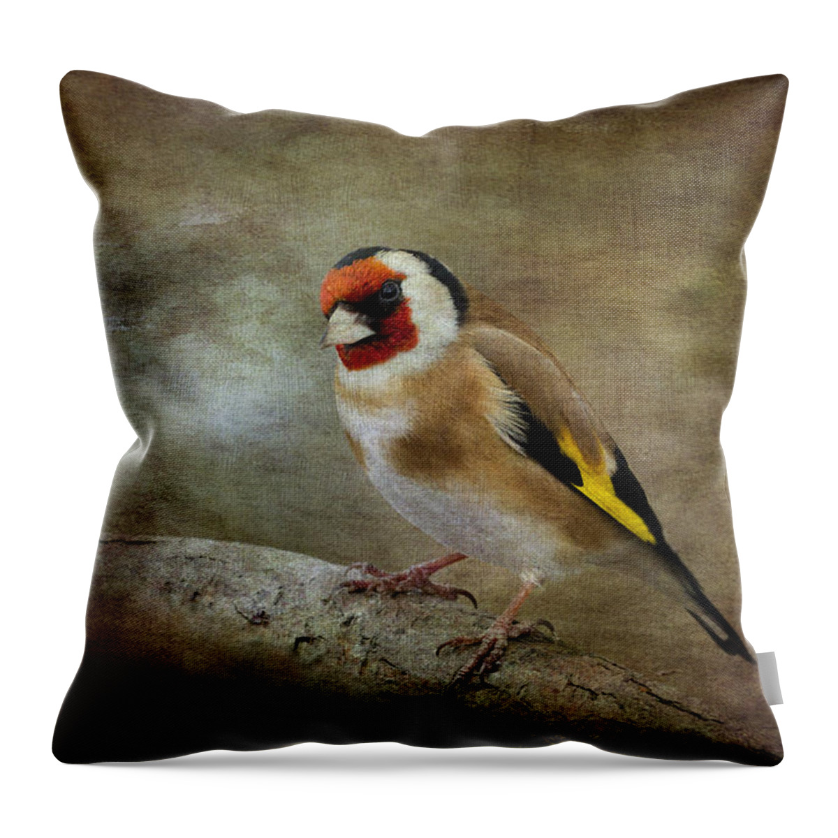 Goldfinch Throw Pillow featuring the photograph Goldfinch #3 by Chris Smith
