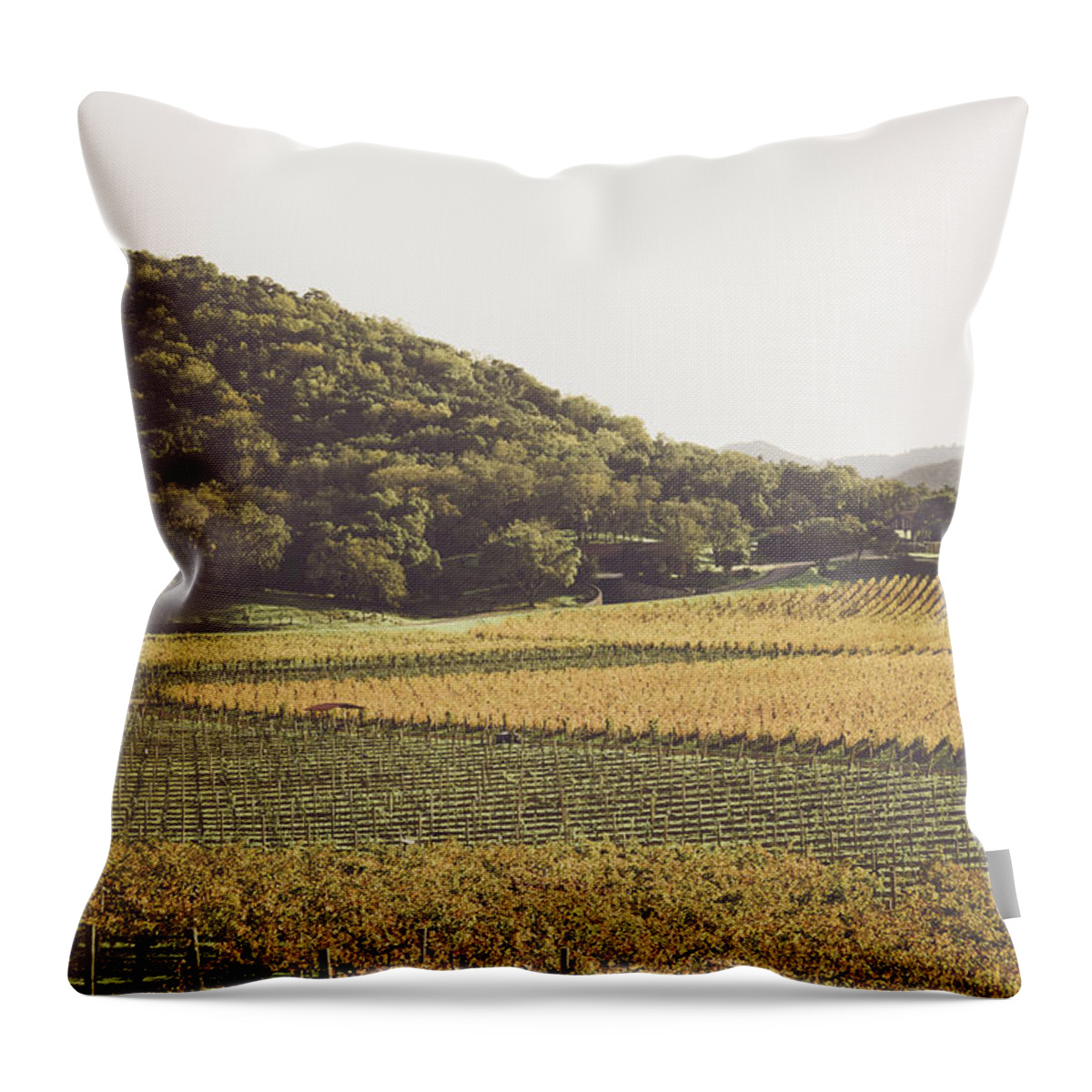 Green Throw Pillow featuring the photograph Grapevines in the Fall #3 by Brandon Bourdages