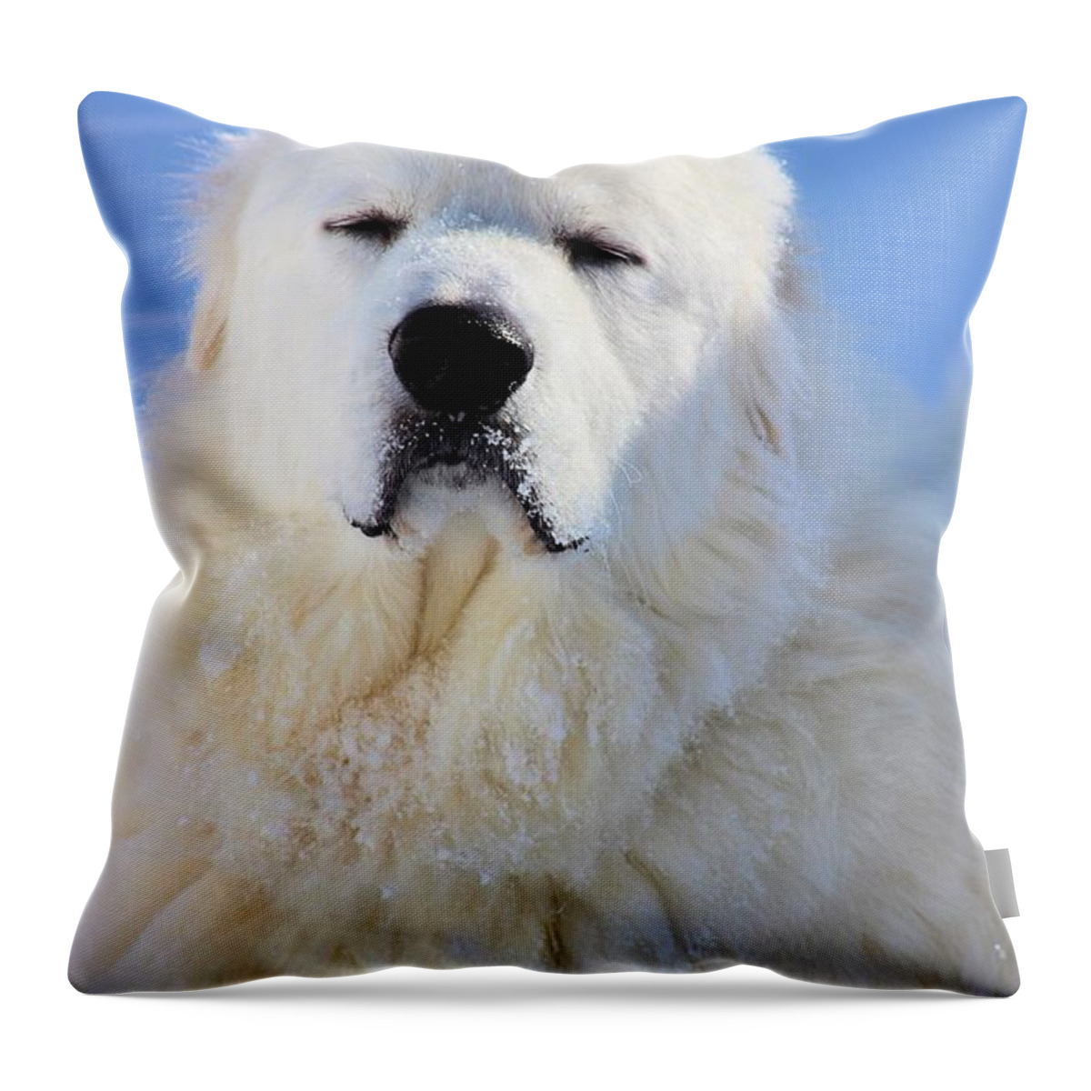 Great Pyrenees Throw Pillow featuring the photograph Great Pyrenees #3 by Roxanne Jones