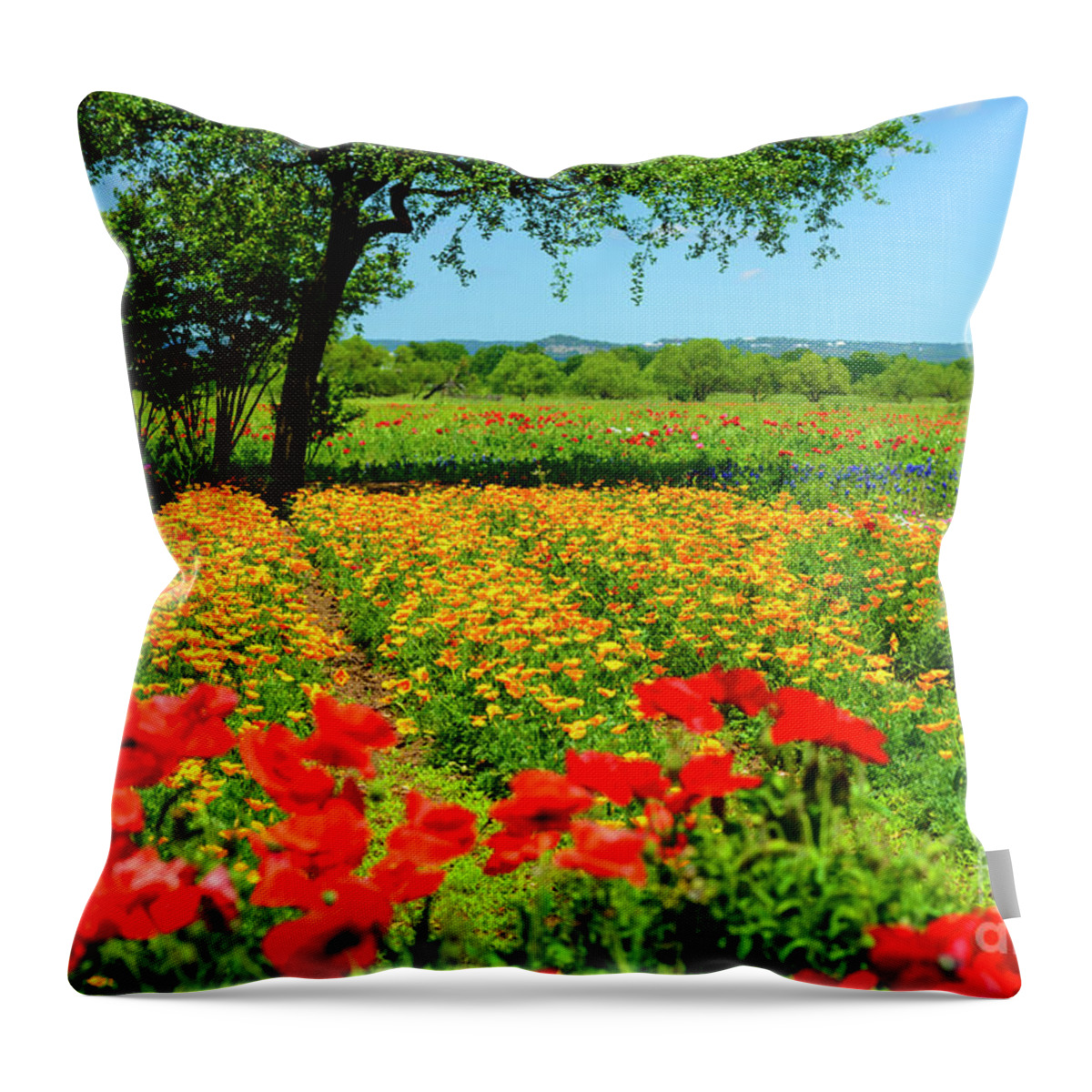 Hill Country Throw Pillow featuring the photograph Hill Country in Bloom #3 by Thomas R Fletcher
