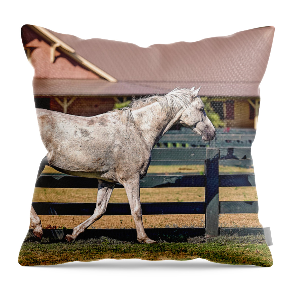 Animal Throw Pillow featuring the photograph Horses in Hilton Head Island #3 by Peter Lakomy