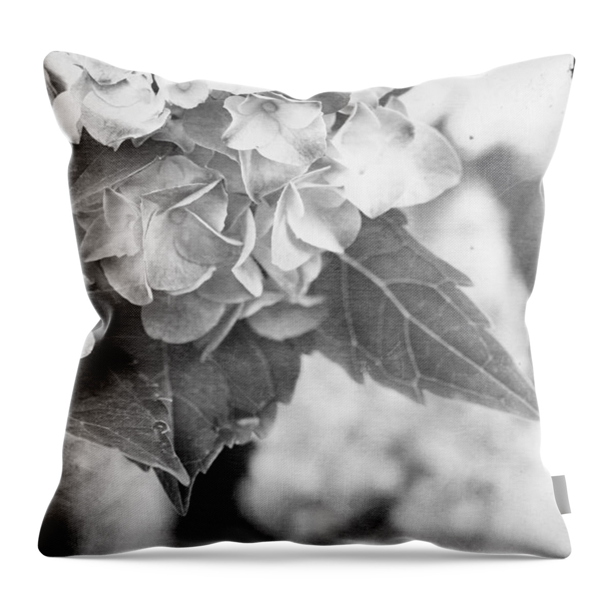 Hydrangea Throw Pillow featuring the photograph Hydrangeas #3 by Stephanie Frey