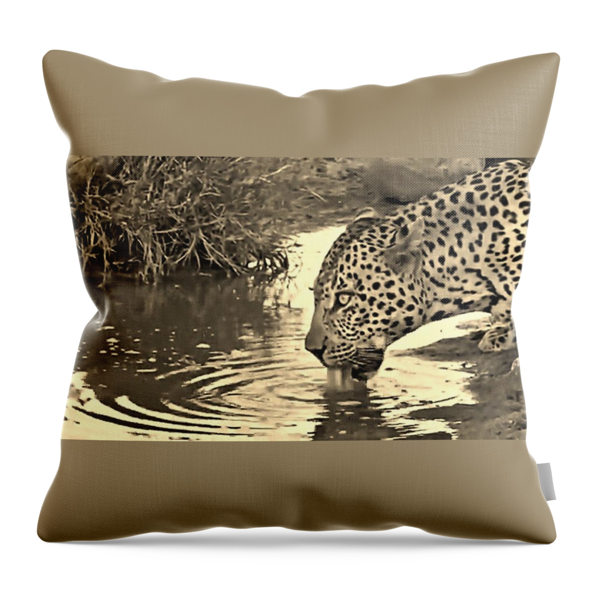 Leopard Throw Pillow featuring the photograph Lapping Leopard #3 by Gini Moore