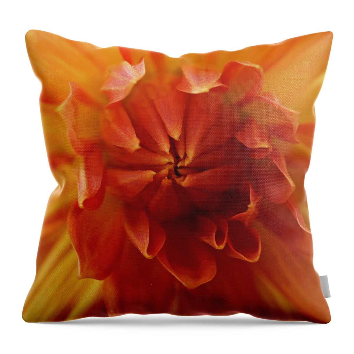Morning Dew Throw Pillow featuring the photograph Morning Dew #3 by Inge Riis McDonald