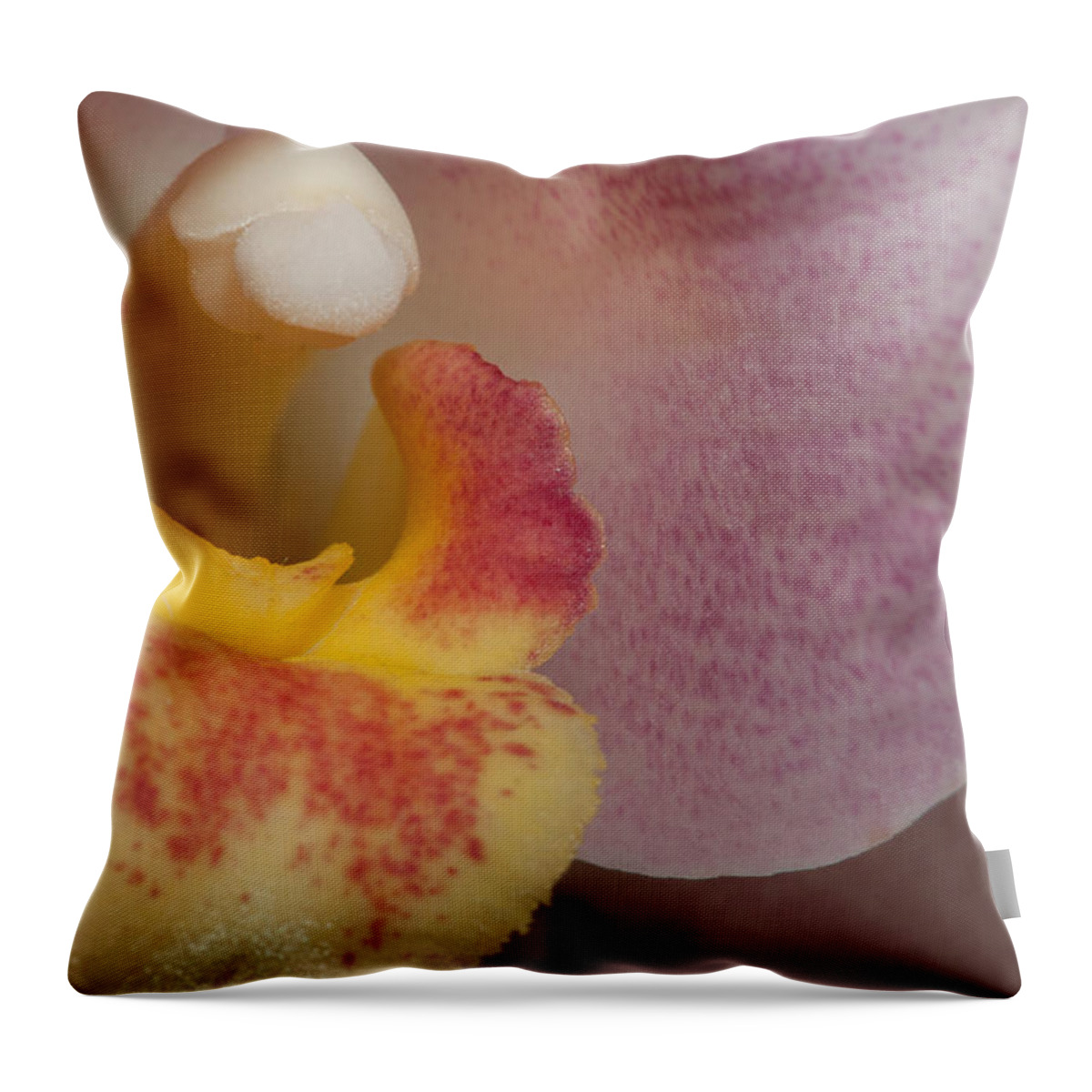 Flowers Throw Pillow featuring the digital art Moth Orchids #3 by Carol Ailles