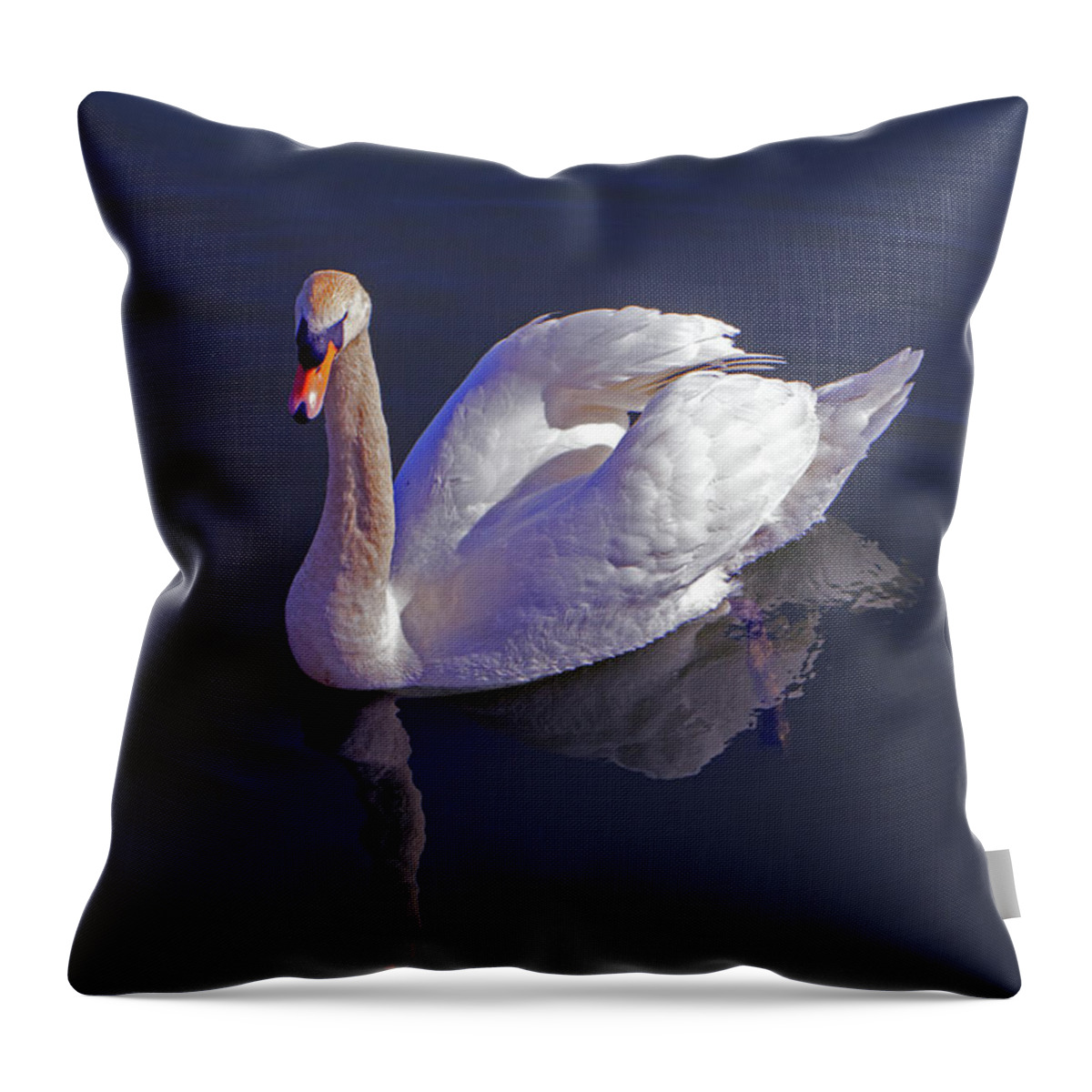 Mute Swan Throw Pillow featuring the photograph Mute Swan #3 by Tony Murtagh