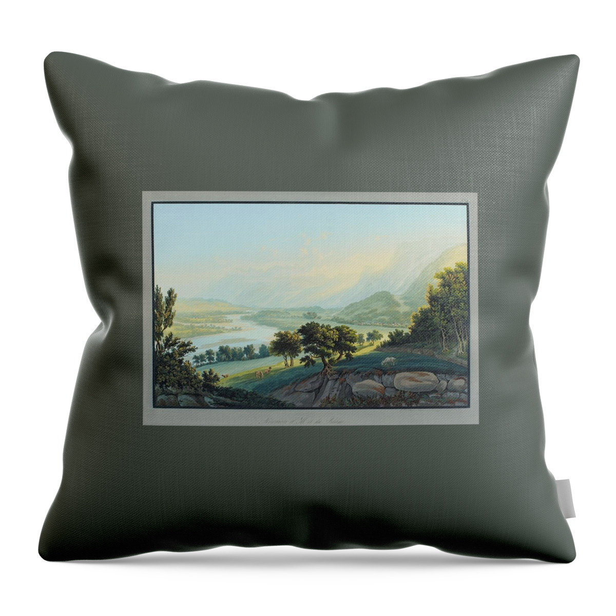 Bleuler Throw Pillow featuring the painting Nature #3 by Johann Ludwig