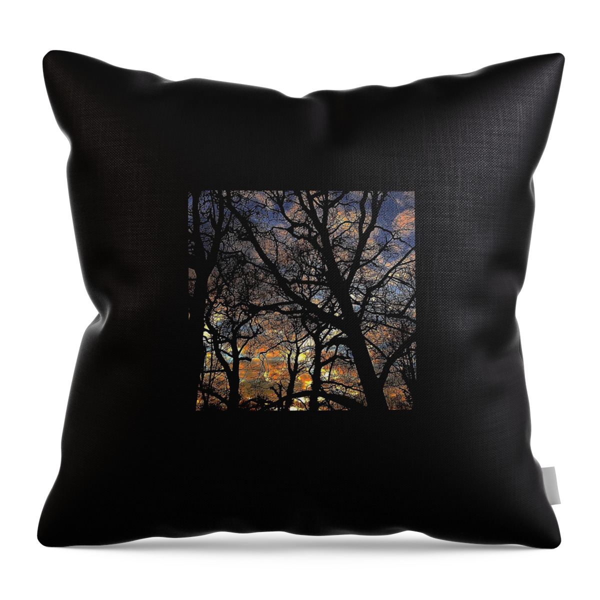 Trees Throw Pillow featuring the photograph Contemporary Forest Silhouette by Grace Smith