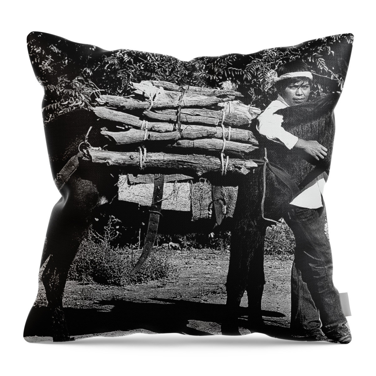 Navajo Boy Donkey Carrying Wood Inter-tribal Indian Rodeo Gallup New Mexico 1969. Throw Pillow featuring the photograph Navajo Boy Donkey Carrying Wood Inter-tribal Indian Rodeo Gallup New Mexico 1969. #4 by David Lee Guss