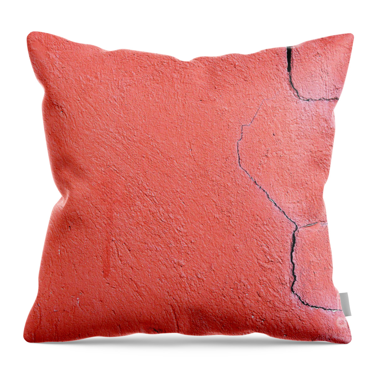 Abandoned Throw Pillow featuring the photograph Old brick wall #3 by Tom Gowanlock